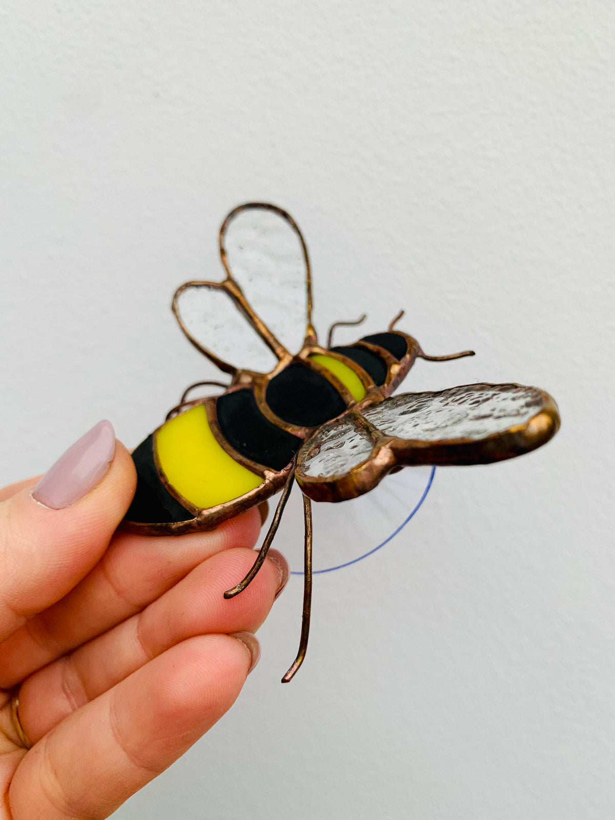 Bee with a suction cup