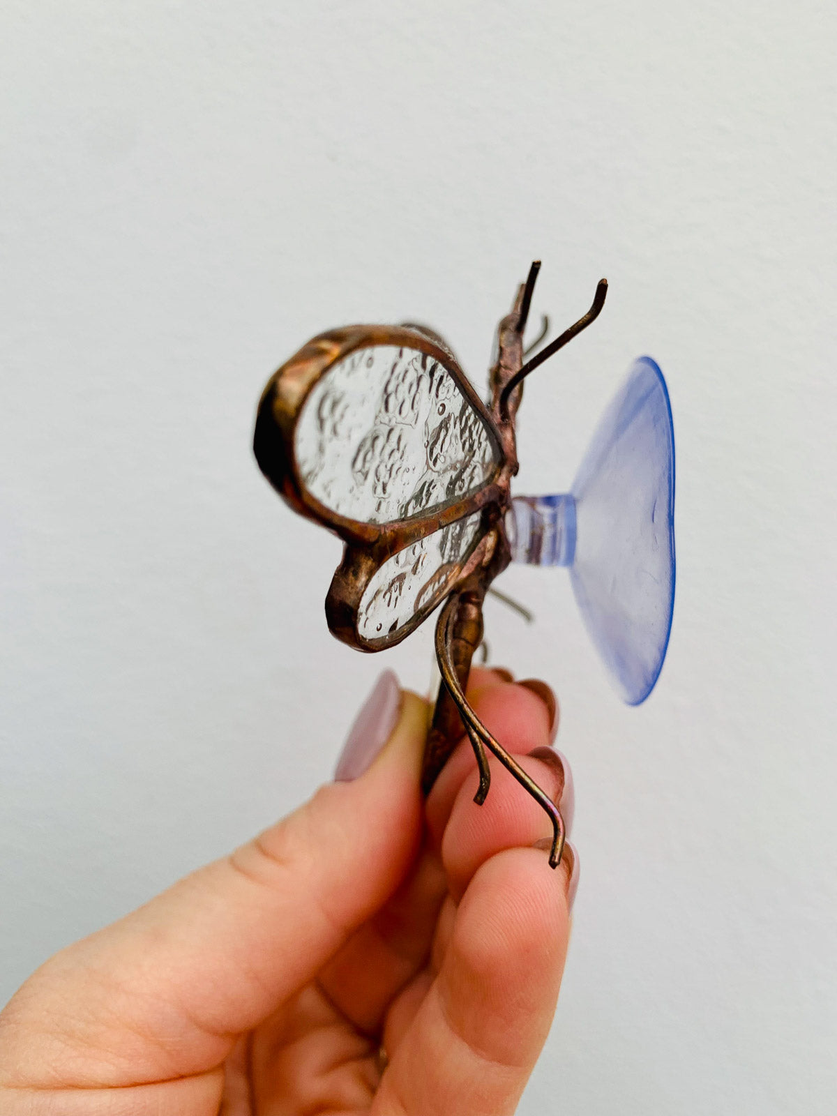 Bee with a suction cup