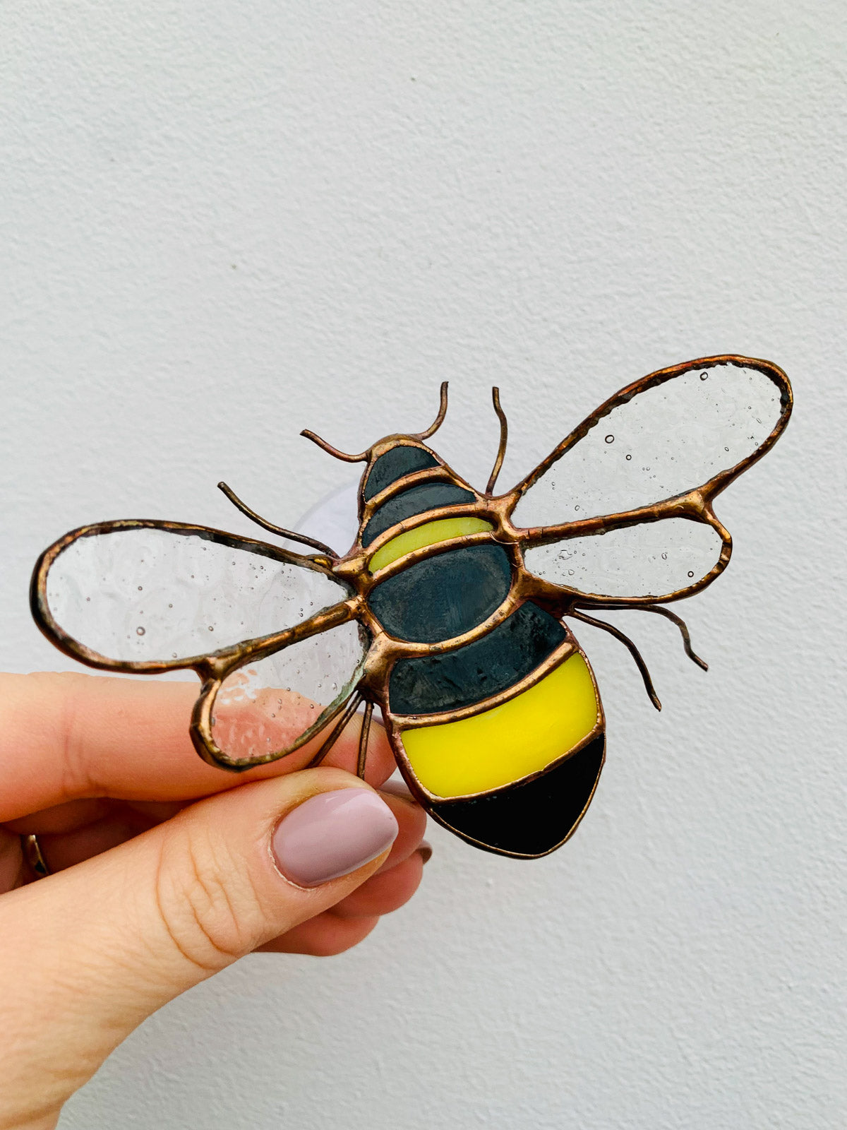 Bee with a suction cup