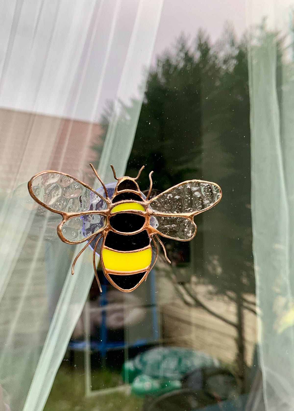 Bee with a suction cup