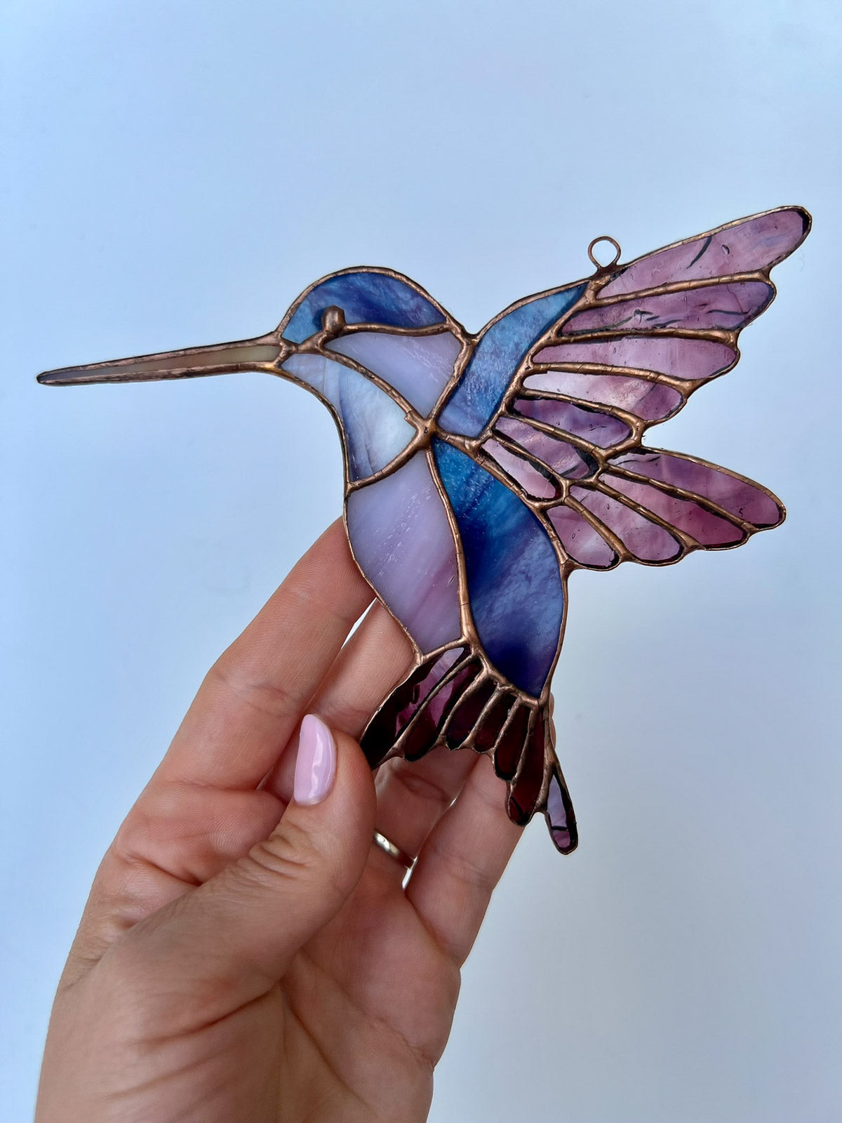 Koliber duży fiolet