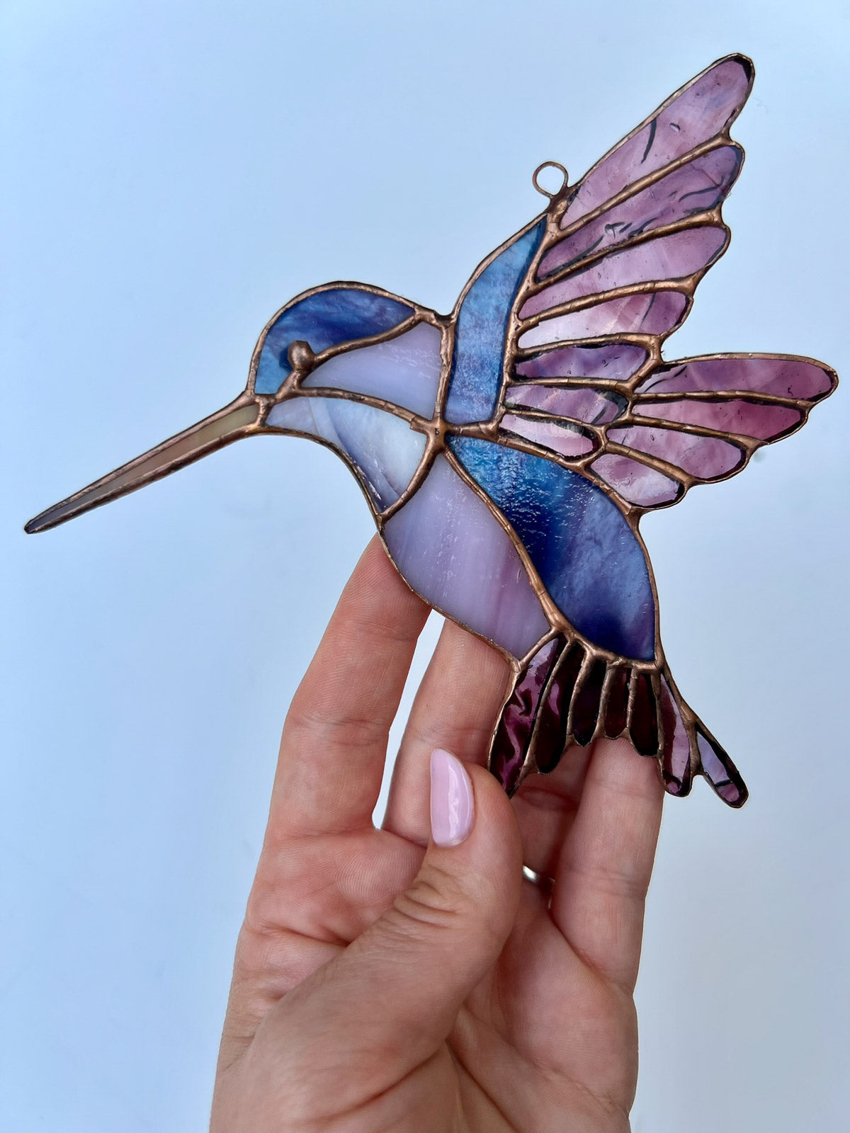 Koliber duży fiolet