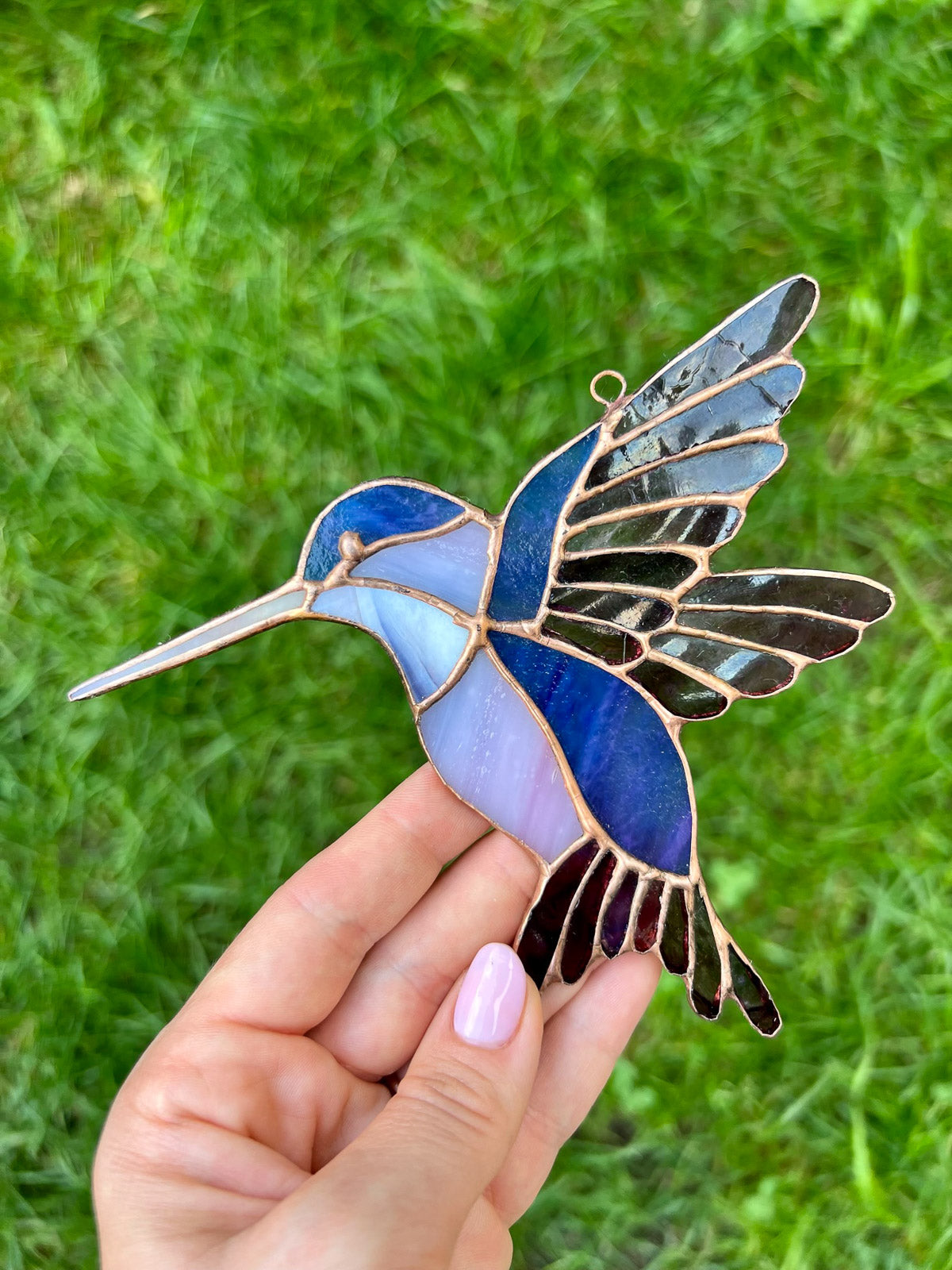 Koliber duży fiolet