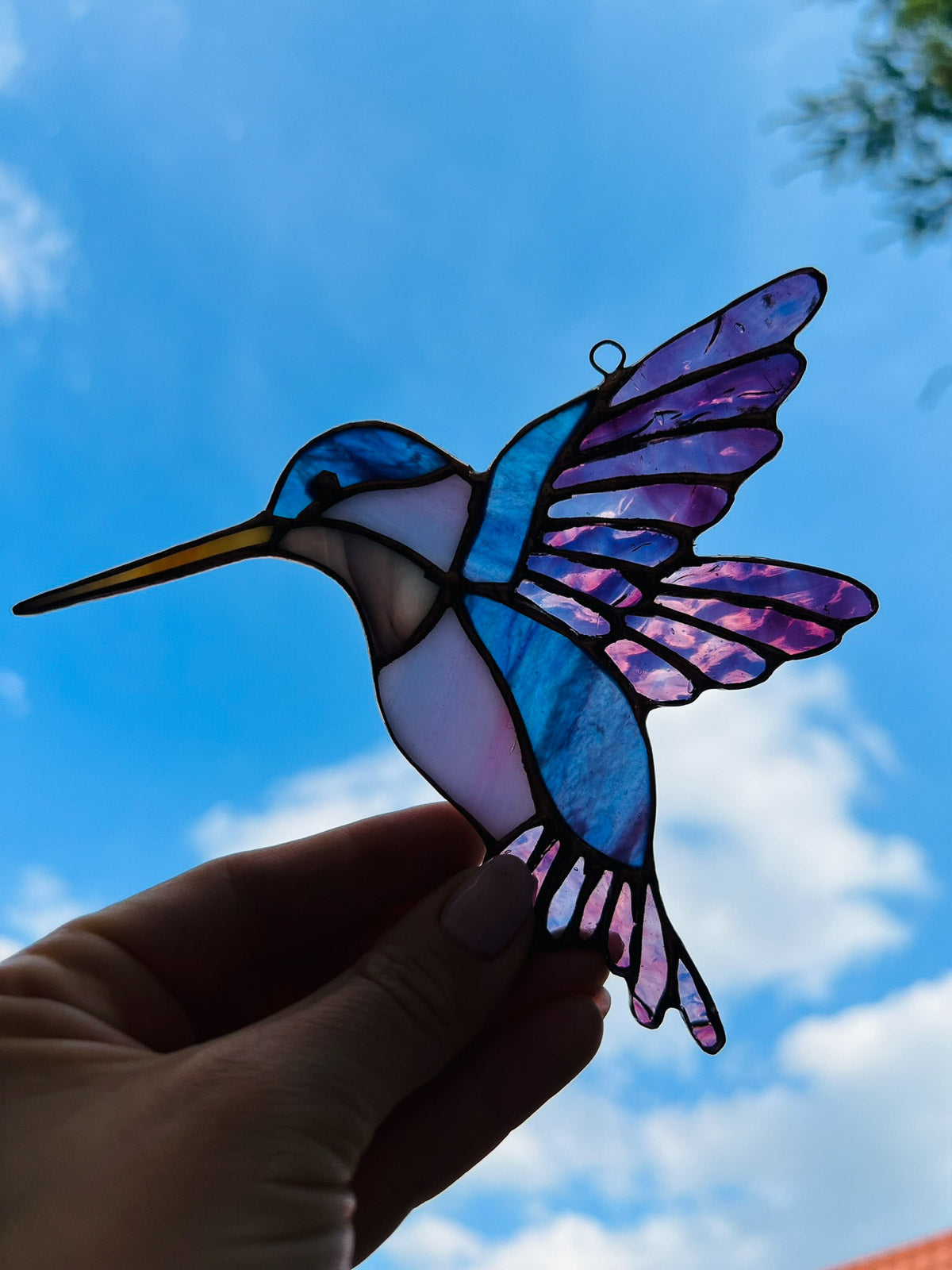 Koliber duży fiolet